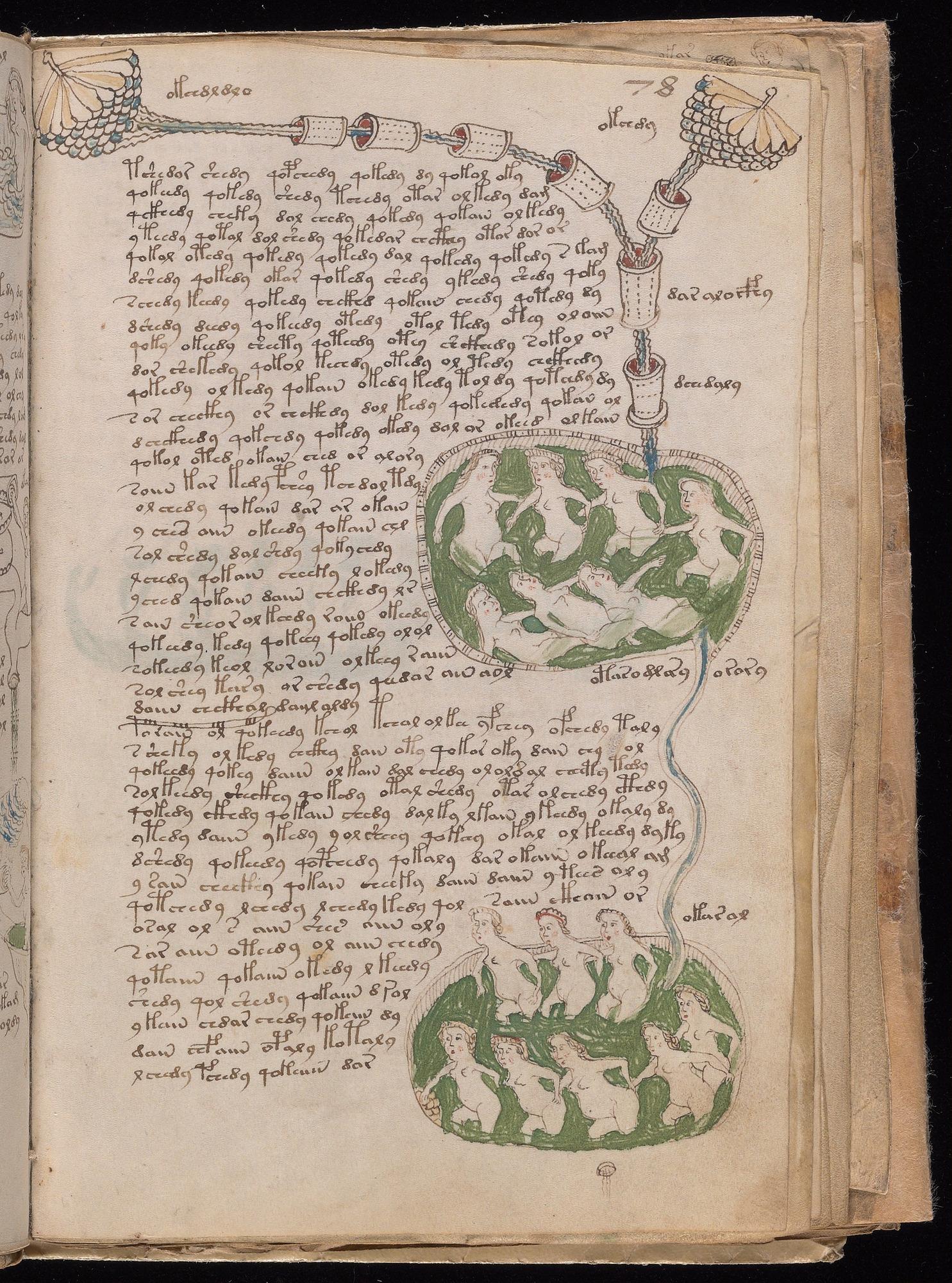 Voynich Manuscript folio f78r — Beinecke MS 408